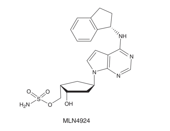 Structure of MLN 4924